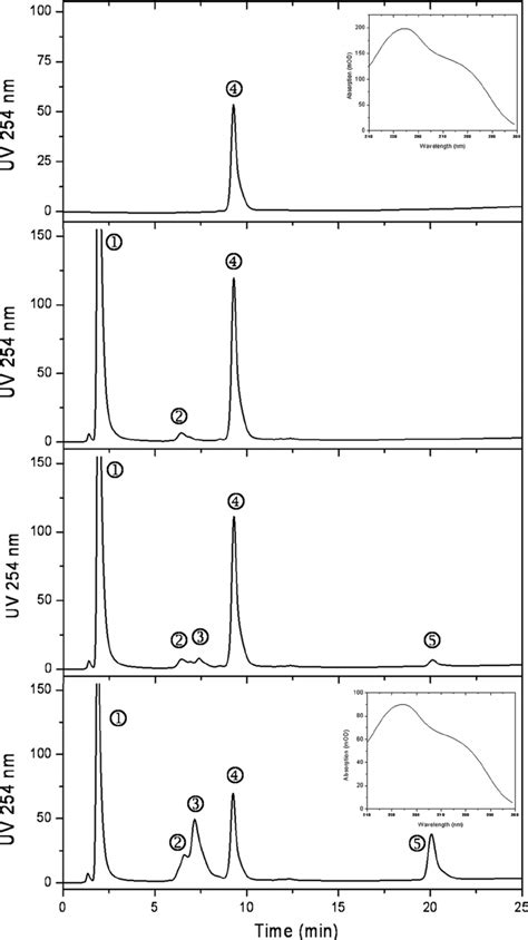 Hplc Chromatography Of Enzyme Assays The Top Trace Shows The