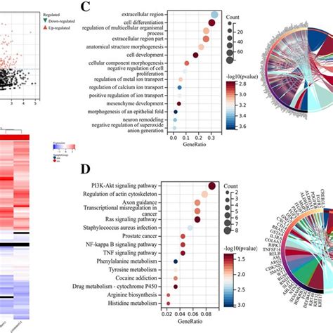 Identification And Functional Annotation Of ORDEGs A Volcano Plot For