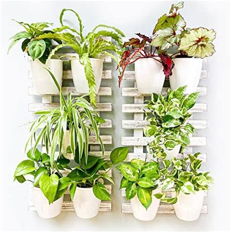 Kassell Vertical Garden Wall Planter Wall Mounted For Indooroutdoor All Metal