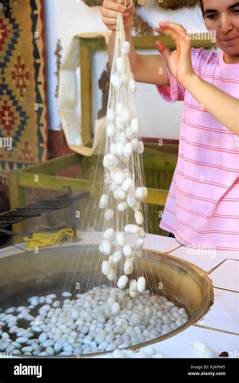 Silk Cocoon Processing