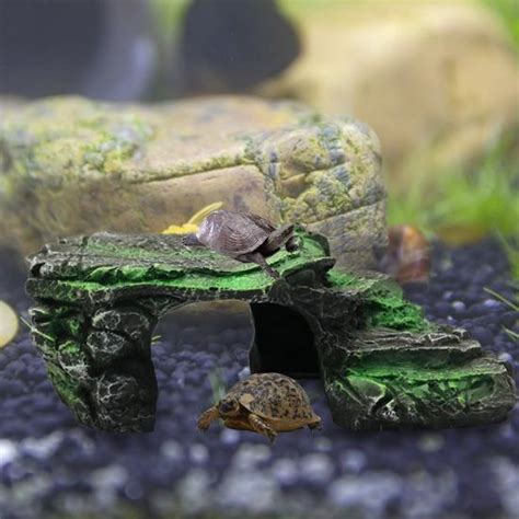 Buy Multifunctional Unfading Color Turtle Terrace Eco Friendly Lizard