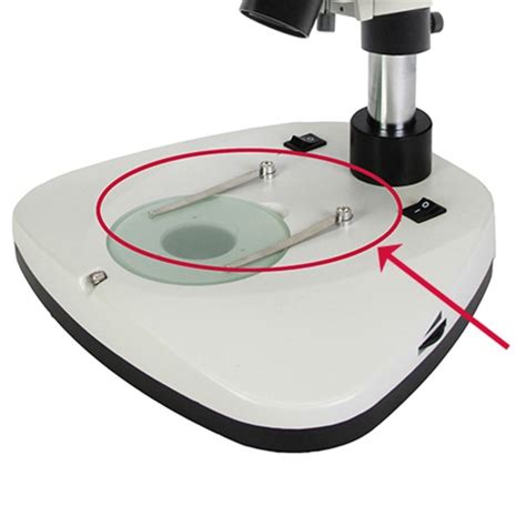 Stage clips for Swift M30-SM99CL Microscope