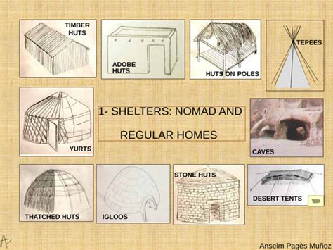 Types Of Shelters In Different Climates Teaching Resources