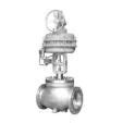 Pneumtiac Cage Guided Single Seated Control Valve Thinktank