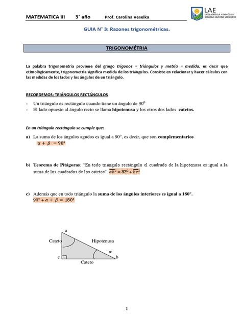 Guia 3 Razones Trigonométricas 3° Lae 2022 Pdf Funciones