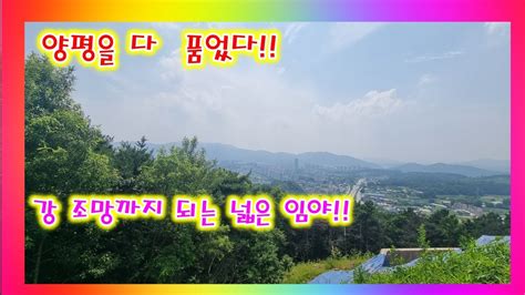 주변시세보다 저렴한 개발하기 좋은 넓은임야양평전원주택양평전원주택매매양평전원주택급매양평전원주택급매물전문양평전원주택전문