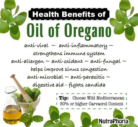 Oil Of Oregano Is A Fantastic Immune Booster That Helps Fight Off