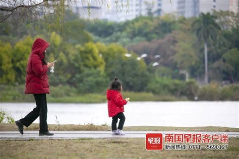 早新闻丨较强冷空气来袭，广西回南天结束！但降温 大风来了 南宁市 美国 公园