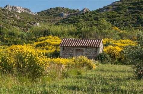 Maussane Les Alpilles Un Village 100 Alpilles Office De Tourisme