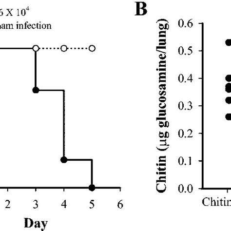 Invasive Pulmonary Aspergillosis In C Bl Mice Treated With Mab Rb