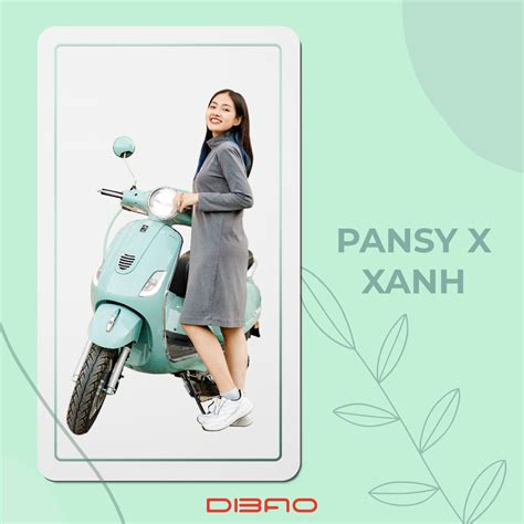 Xe Ga Cc Vespa Dibao Pansy X S N Ph M Cao C P Ch T L Ng H Ng U