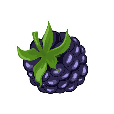 Blackberry Berry Nature Cartoon Vector Illustration Vector Art