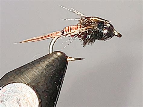 Best Nymph Flies Mayfly Stonefly And Caddis Flies Guidesly