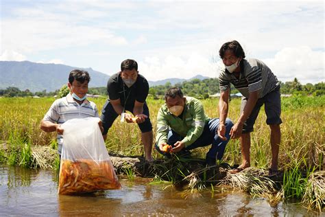 Media Pt Toba Pulp Lestari Tbk