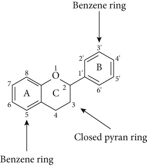 Basic structure of flavonoids. | Download Scientific Diagram