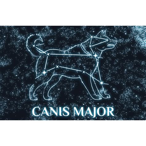 Canis Major - Greek Constellations - Touch of Modern