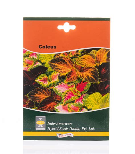 Coleus Seeds | Buy Seeds Online | Eco Friendly Gifts | Online Store for ...