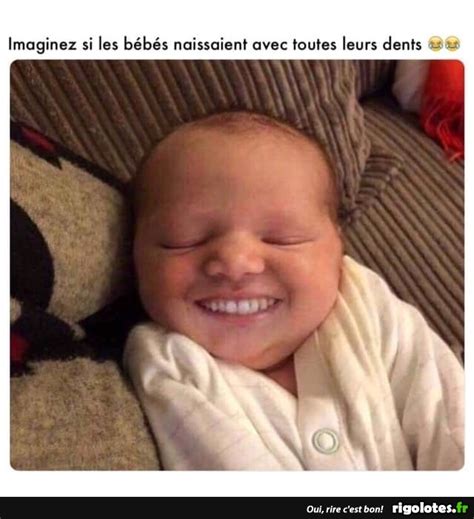 Rigolotesfr Les Meilleures Images Et Blagues Du Net