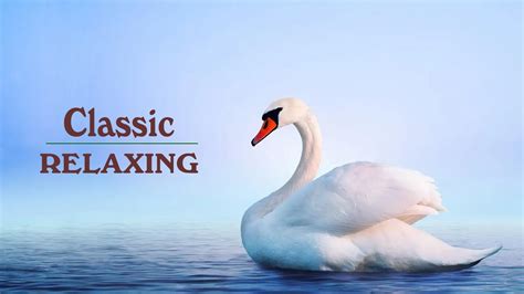 The Best Relaxing Classical Music Ever Greatest Love Songs Music