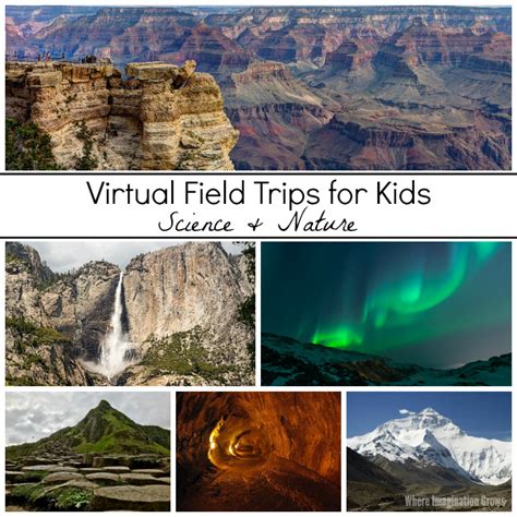 40+ Virtual Field Trips for Kids - Where Imagination Grows