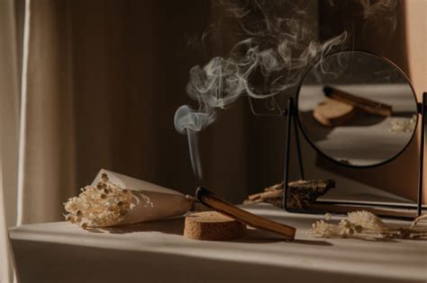 Il fascino del Palo Santo cos è e come si usa in casa l antico incenso