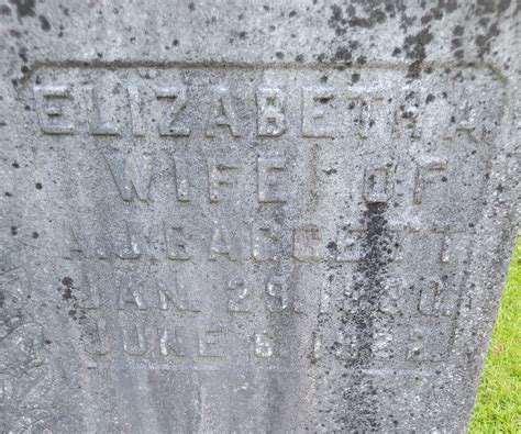 Elizabeth Ann Betsey” James Baggett 1830 1922 Find A Grave Memorial