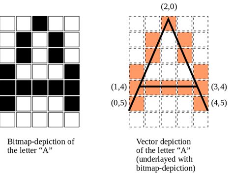 What is the Difference Between Bitmap and Vector - Pediaa.Com