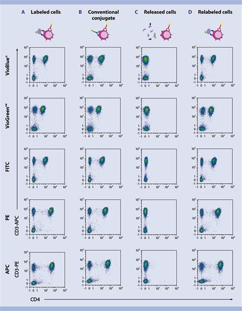 Flow Cytometry Chart Keski