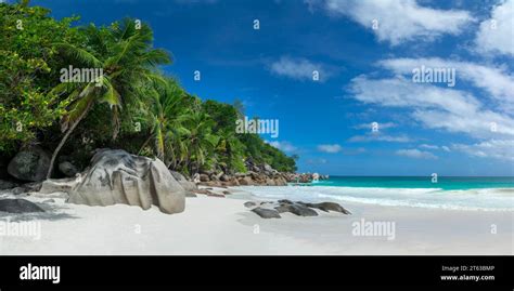 Palm Trees And Granite Rocks At Anse Georgette Scenic Beach In Praslin