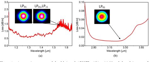 Pdf Antiresonant Hollow Core Fiber Based Dual Gas Sensor For