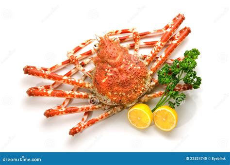 Giant crab stock image. Image of healthy, fresh, dish - 22524745