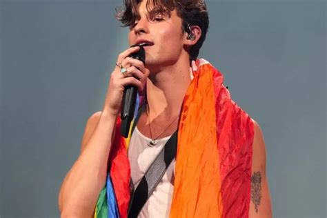 Shawn Mendes Kalungkan Bendera Lgbt Tunjukkan Jati Diri Sebagai