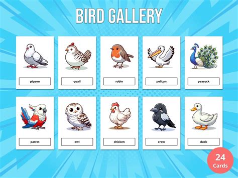 24 Bird Gallery Flash Cards Printable for Kids montessori Cards ...