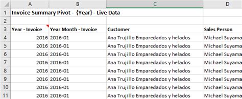 Insert Data Into Excel Xlreport Documentation