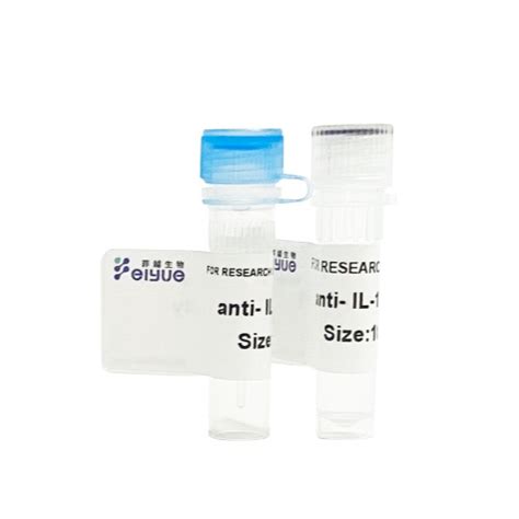 性别决定区y框蛋白9 Sox9 单克隆抗体monoclonal Antibody To Sex Determining Region Y Box Protein 9 Sox9 价格 品牌 菲