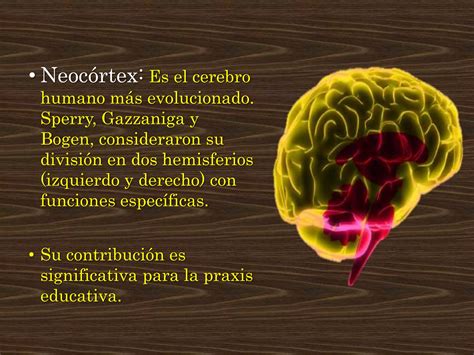 El Cerebro Triuno Ppt