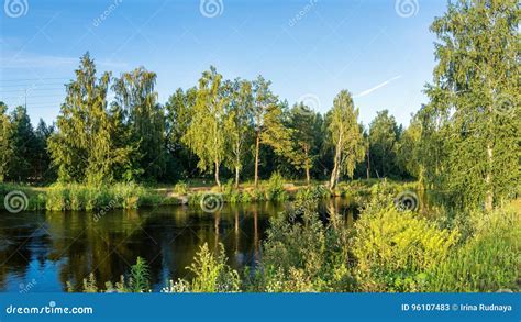 Sommerlandschaft Mit Blumen Auf Dem Ufer Des Sees Reftinskoye