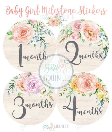 Floral Baby Month Stickers Baby Girl Months Milestone Etsy