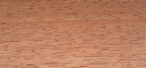 merbau timber development uk