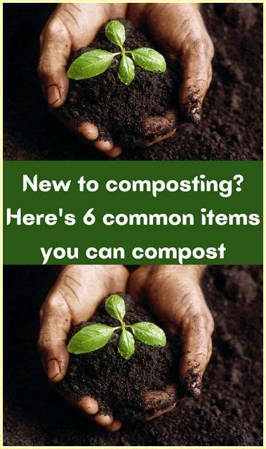 New To Composting Here S 6 Common Items You Can Compost Artofit