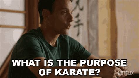 What Is The Purpose Of Karate Ralph Macchio  What Is The Purpose