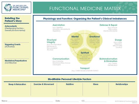 What Is Functional Medicine Cantor Adkins Functional Medicine