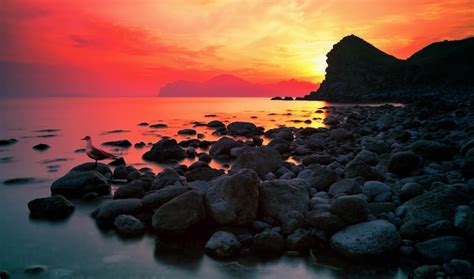 Premium Photo Sunset Over Rocky Coast