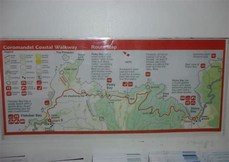 Coromandel Walkway and Mountain Bike Track - Coromandel Town Information Centre