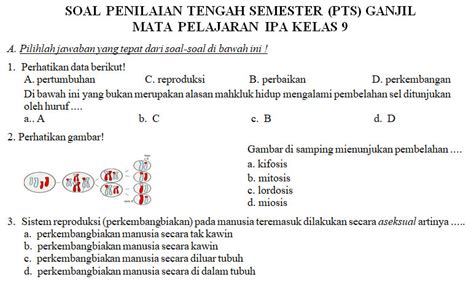 Soal Pts Ipa Kelas Semester Ganjil Didno