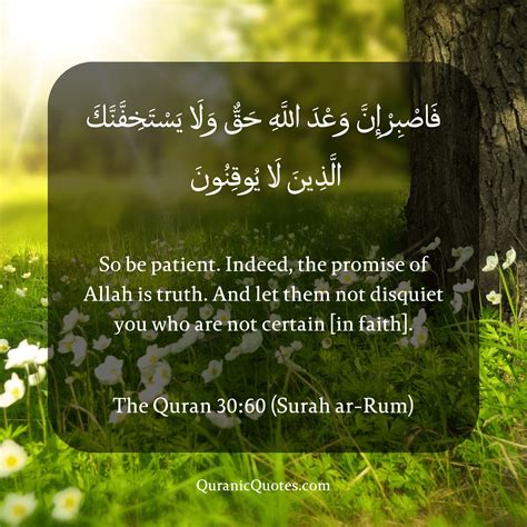 Quran Quotes In English 6