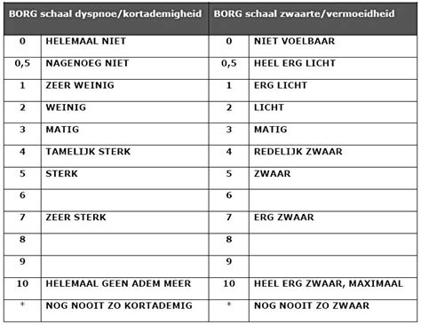 Borg Schaal Bw Maxfysio Waalre