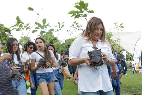 Siembra De Guayacanes En El Parque Omar Re Ne A M S De Cien Voluntarios