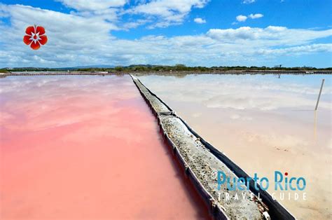 The Salt Flats Las Salinas” Cabo Rojo Puerto Rico El Centro