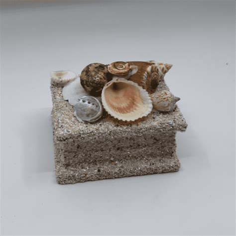 Shell Box - Trip and Wish in Croatia